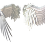 White Wings 3