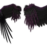 Dreamy Black Purple Wings 2
