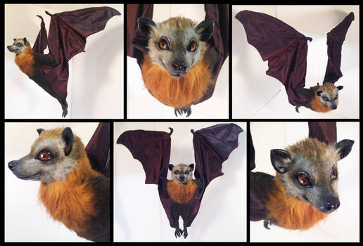 Grey Headed Flying Fox Poseable Art Doll