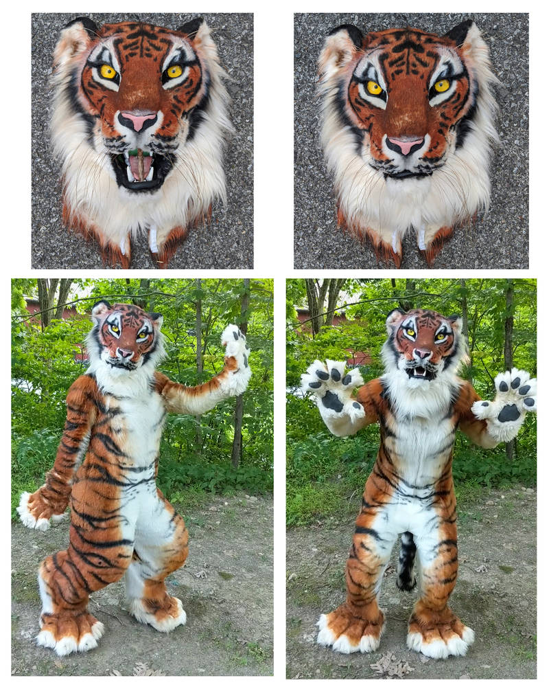 Realistic Tiger Digitigrade Fullsuit FOR SALE!!!!!