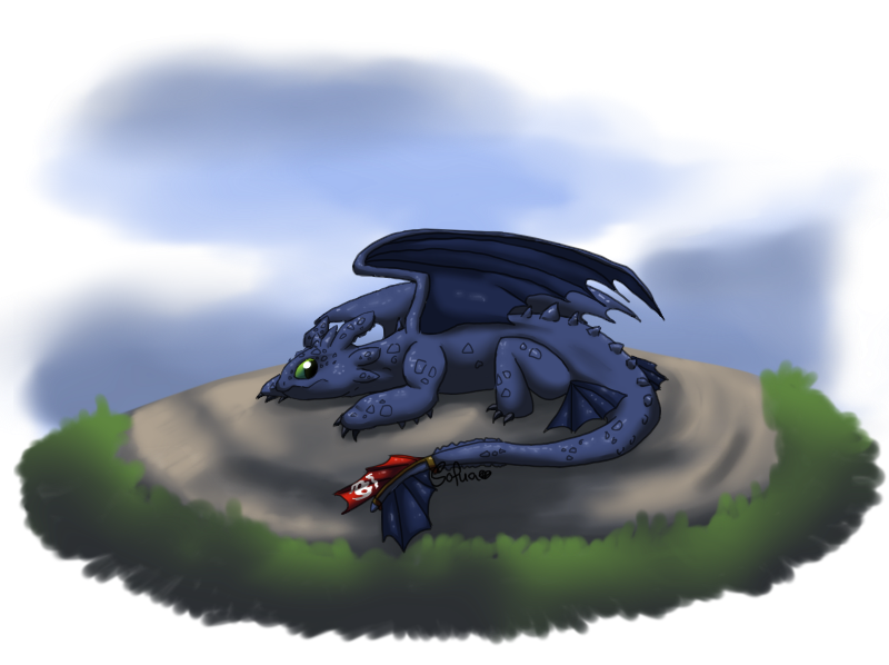 First Toothless - 2014 by Sofua on DeviantArt