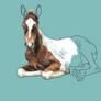 Paint Foal