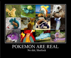 POKEMON ARE REAL