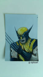 Wolverine  