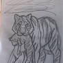 Mama Kira + Baby Storm (white tigers)