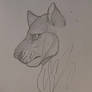 Lion I made in English class!