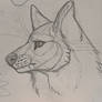 Wolf I made in history class!