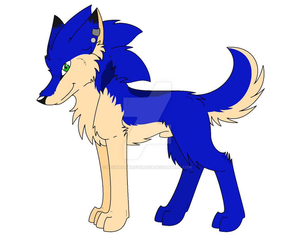 .:Sonic's New Wolf Look:. (My Style)
