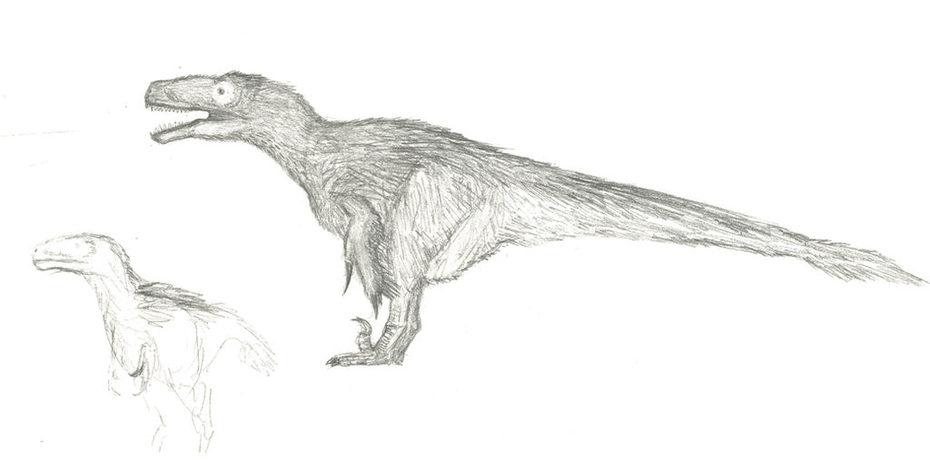 Utah Raptor Outlines Utahraptor Sketch by Jeda45 on DeviantArt
