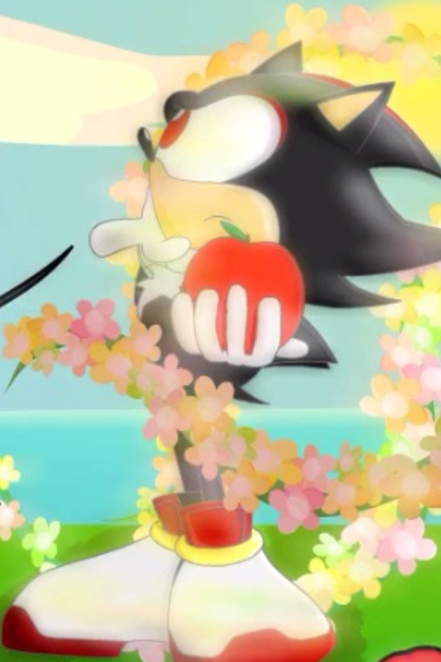 Shadow the hedgehog