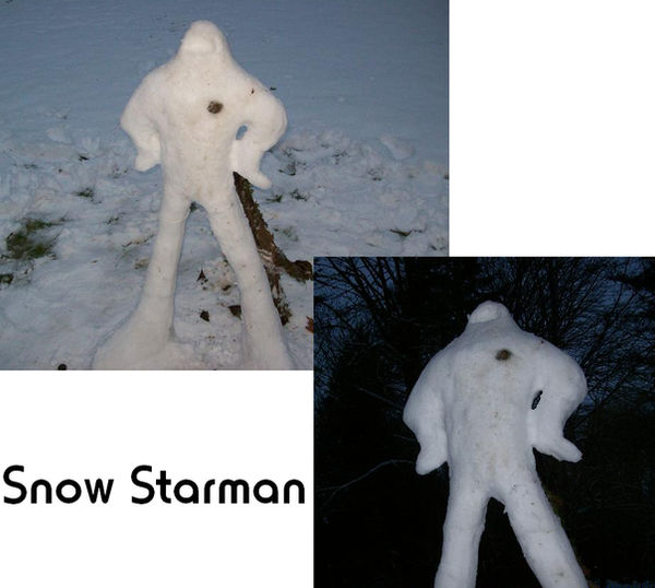 Snow Starman