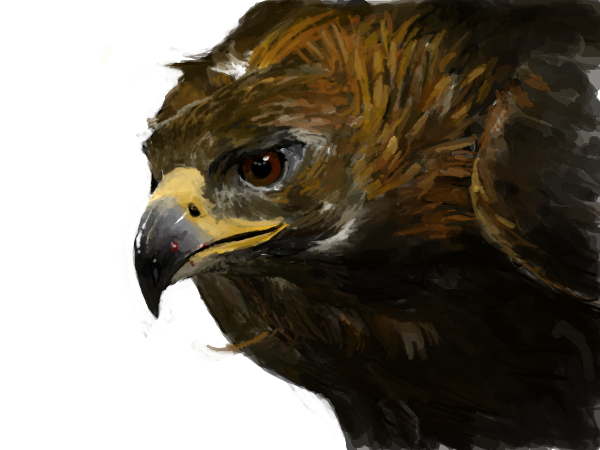 Eagle