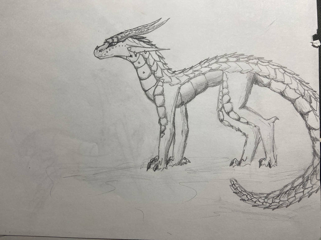 Wingless dragon doodle by SpiritWing12 on DeviantArt