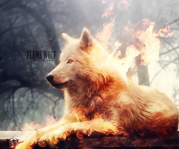 flame wolf