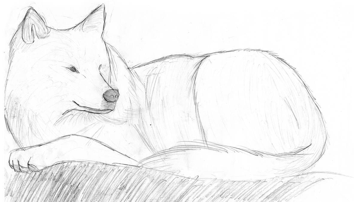 Wolf Laying Down by LimeWolf on DeviantArt