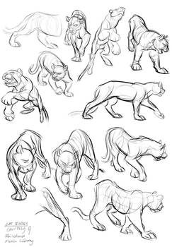 Cat Studies 9-02-13