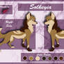 Solkeyia -character sheet-