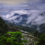 Sapa Terraced Paddies