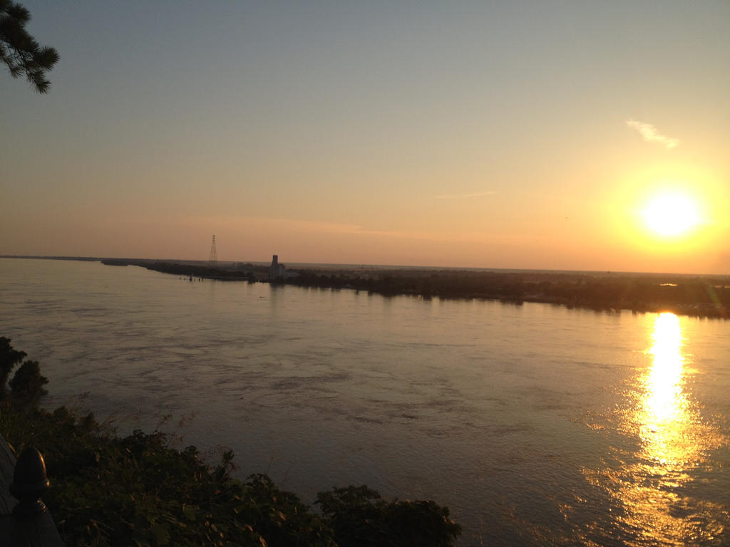 Briar View of the Mississippi