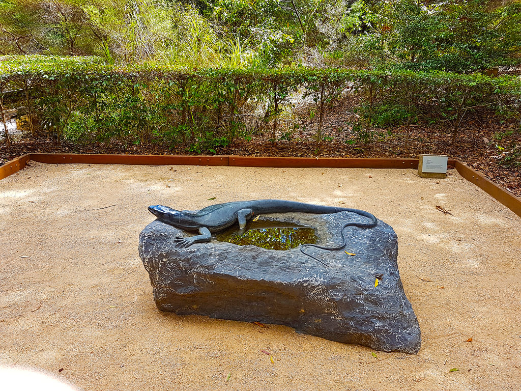 Sculptures at Maroochy Botanic Gardens.