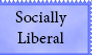 Socially-Liberal, Fiscally Conservative