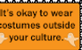 It's Okay to Wear Costumes Outside Your Culture