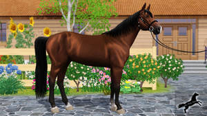 Sims 3 Horse Night Exclusion #01