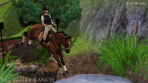 Sims 3 Horse Edit Cissnei