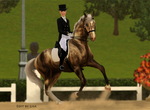 Sims 3 Horse Edit Comission #4