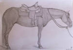 Quarter Horse Mare Drawing