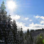 Photography : Snowy valley