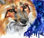 Foxy Watercolors by FrenchTechnoKitten