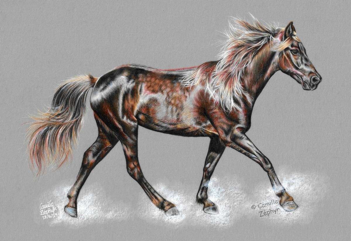 Brown Horse