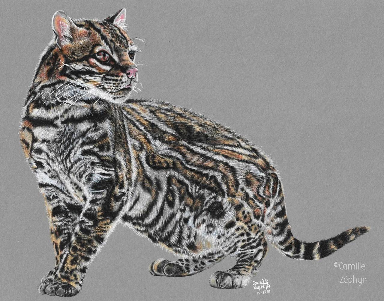 First beams of Sunlight