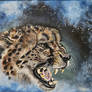Cheetah Remix