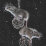 Nighttime Mice