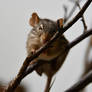 Photography : Scheming