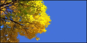 October Afternoon