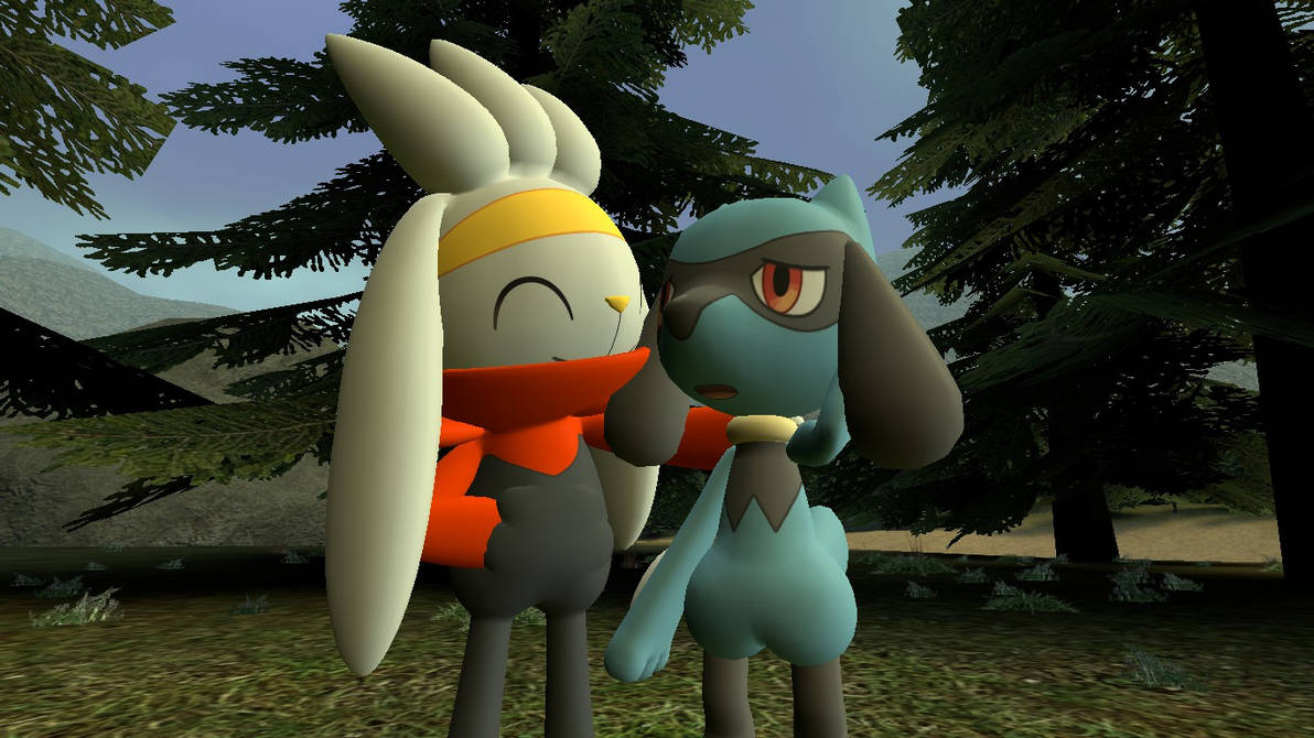 Raboot and Riolu by marcusberensen on DeviantArt