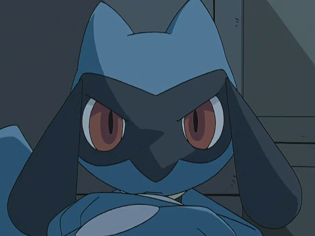 Riolu angry looks at you by marcusberensen on DeviantArt