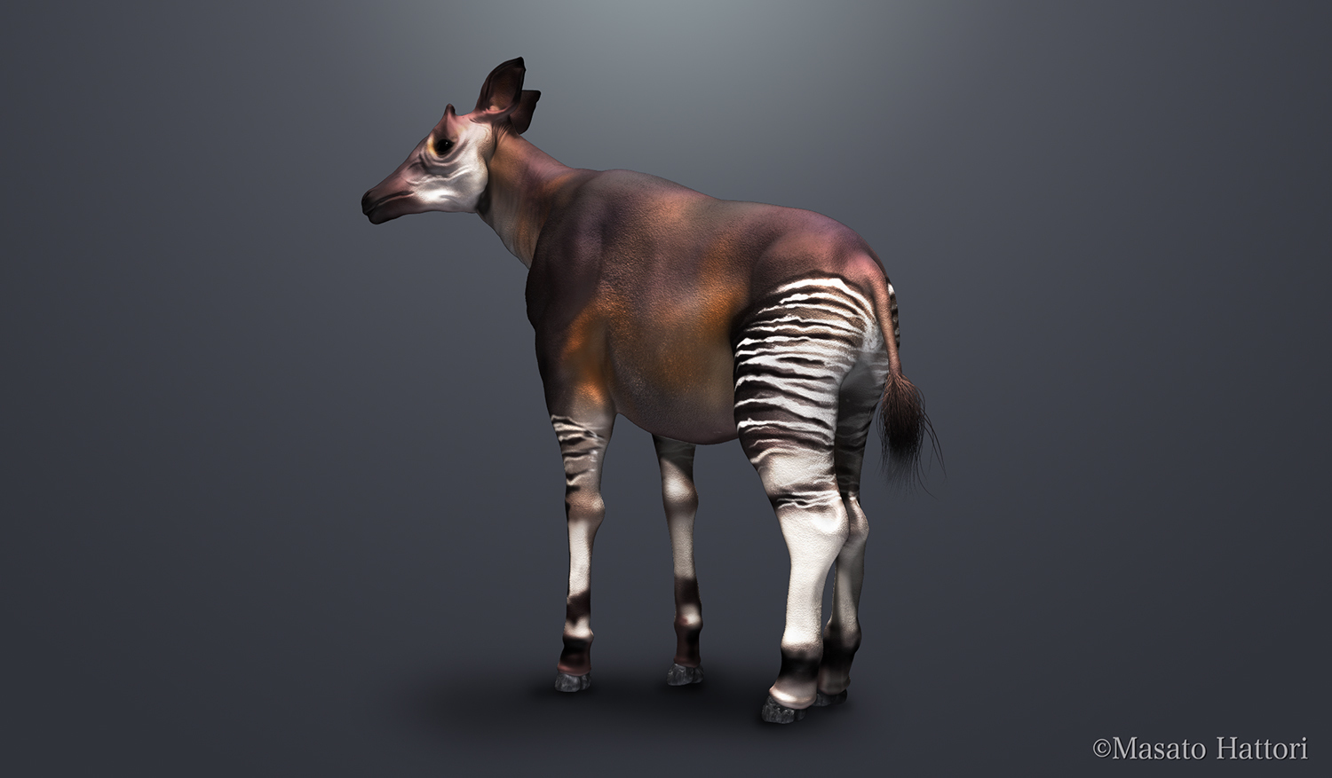 Masato Hattori Okapi by Larussopelta on DeviantArt