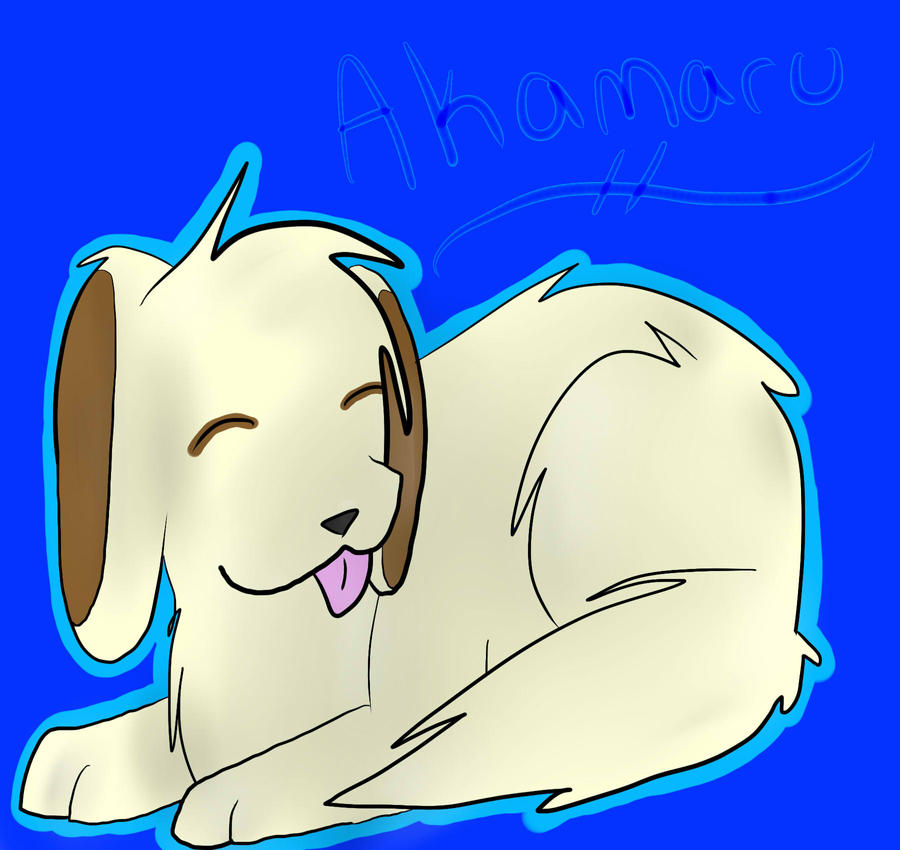Akamaru :3 by Casper3703 on DeviantArt