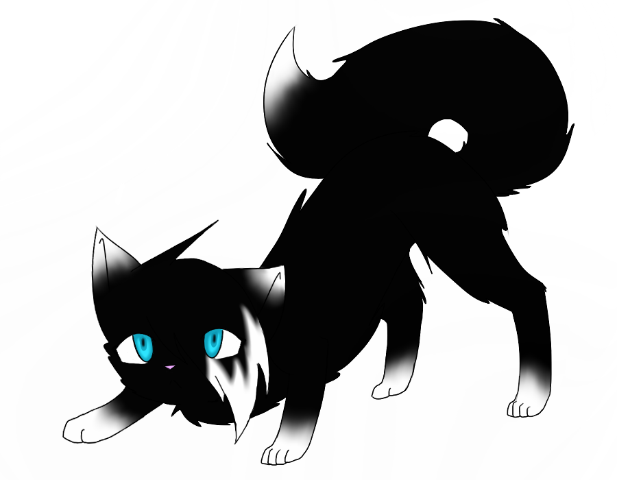 New warrior cats OC