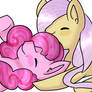 My Little Pony Fluttershy and Pinkiepie