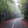 Let me take on a walk where we forget about time