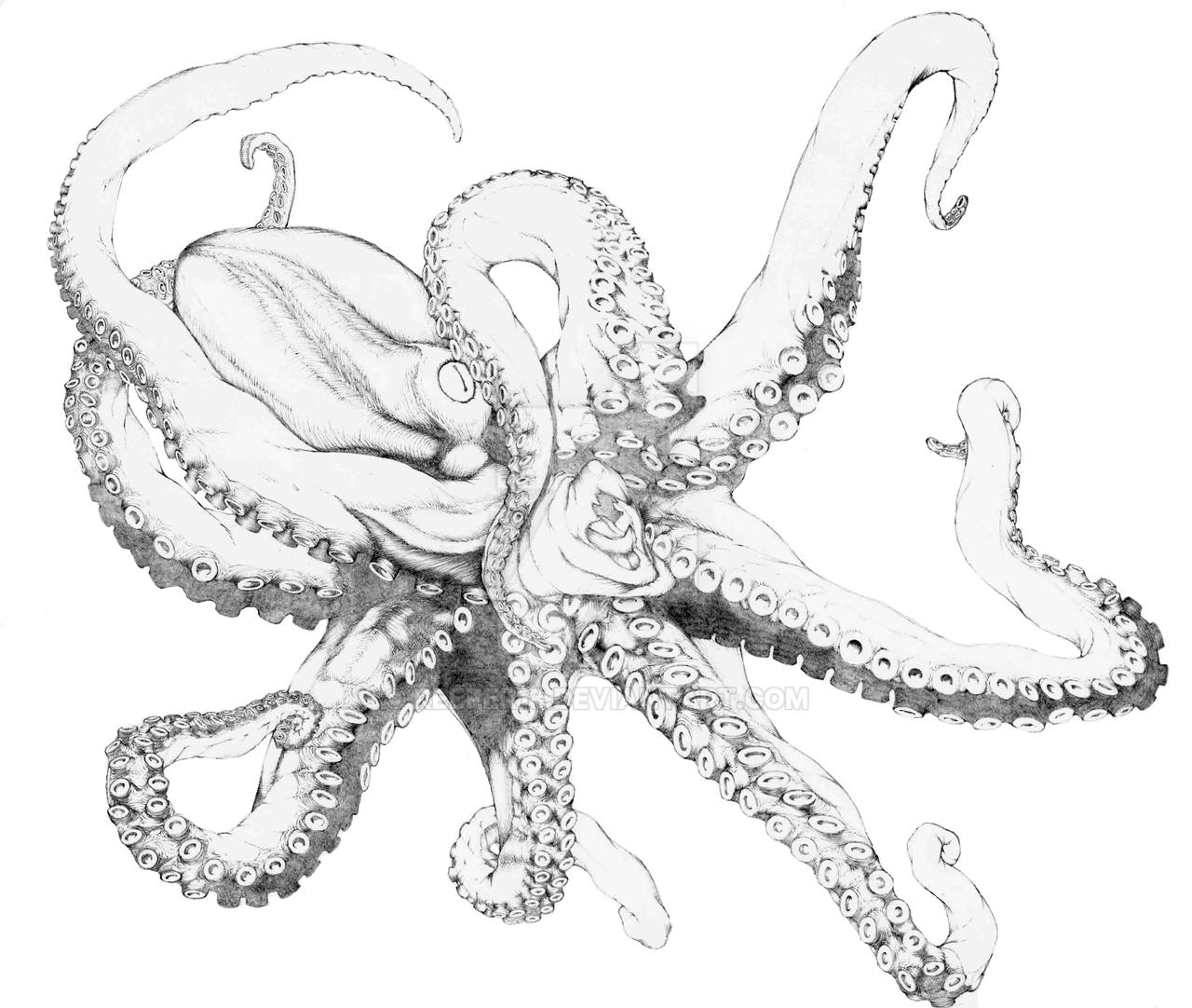frazetta octopus