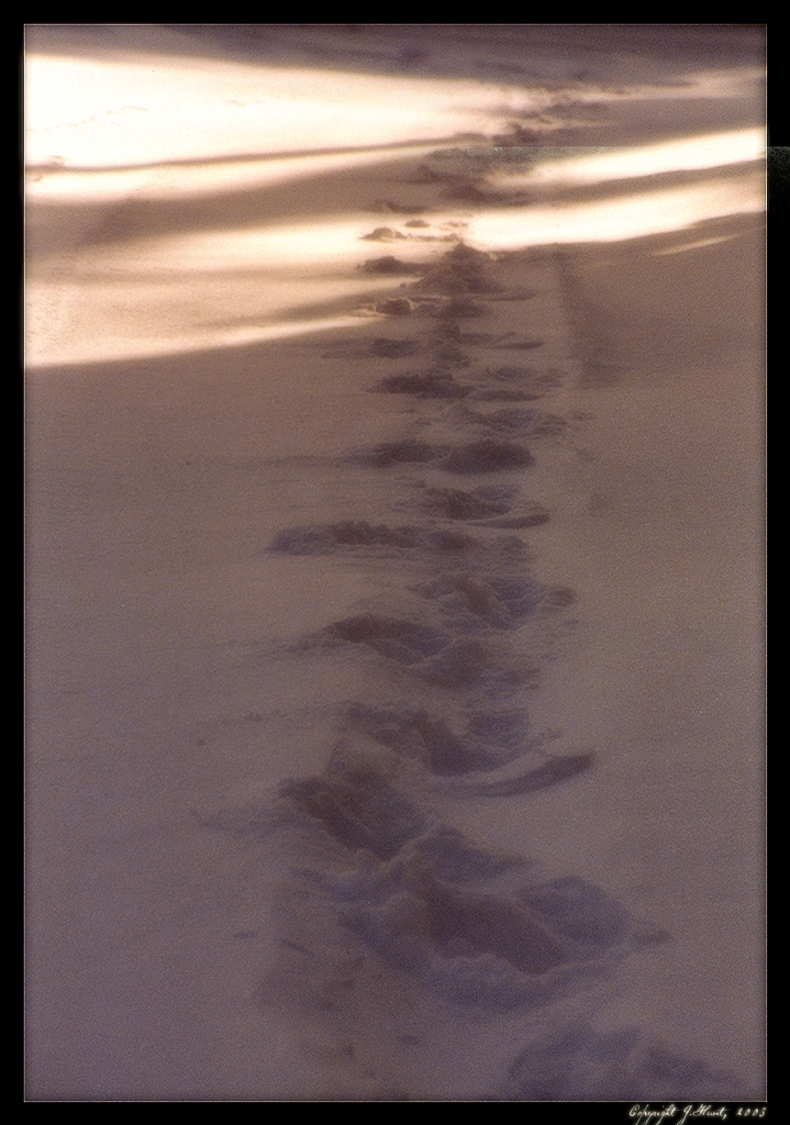 Snowtracks