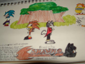 Shawn The Hedgehog Saga Pic 4