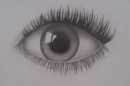 Eye