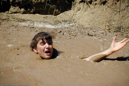 Fast Quicksand Similar Art to